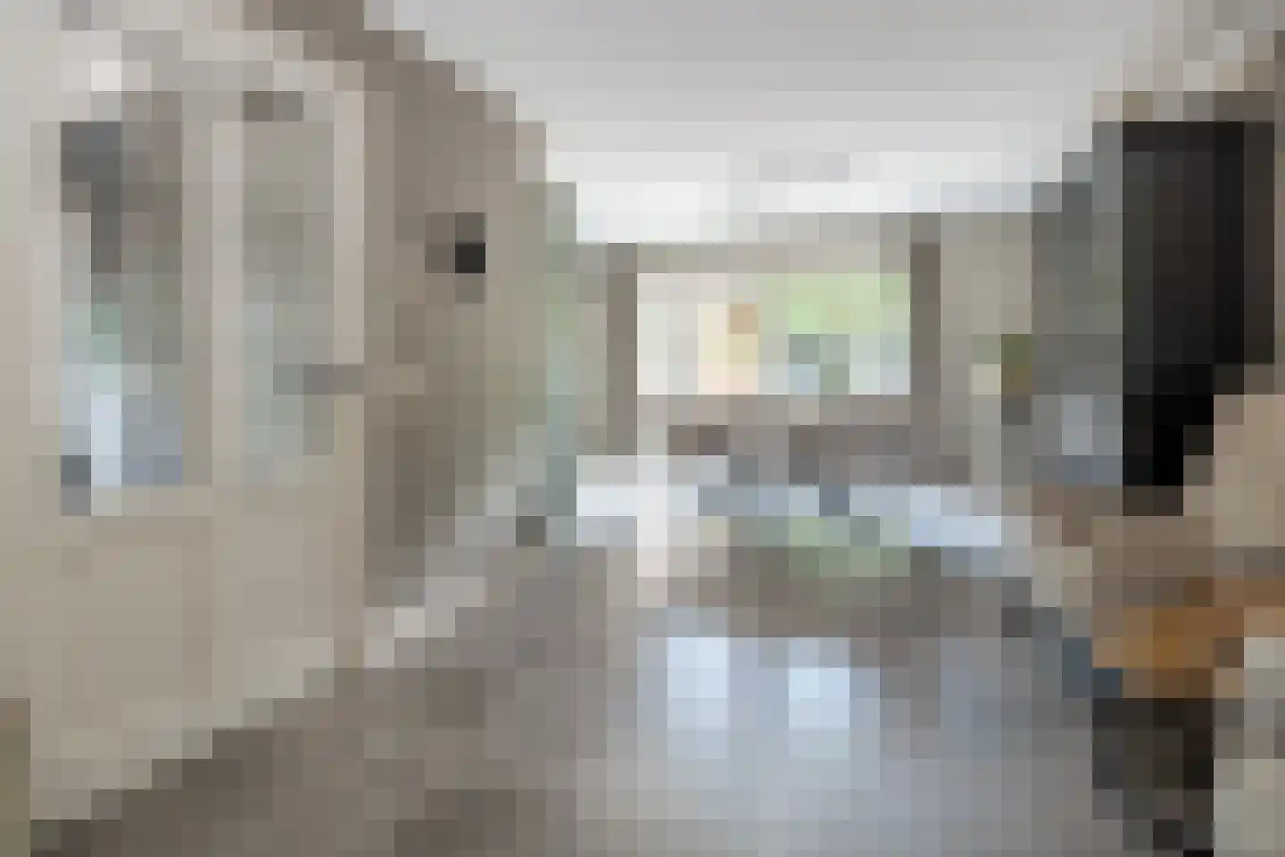 Essenerweg 53 Kootwijkerbroek thumbnail 8
