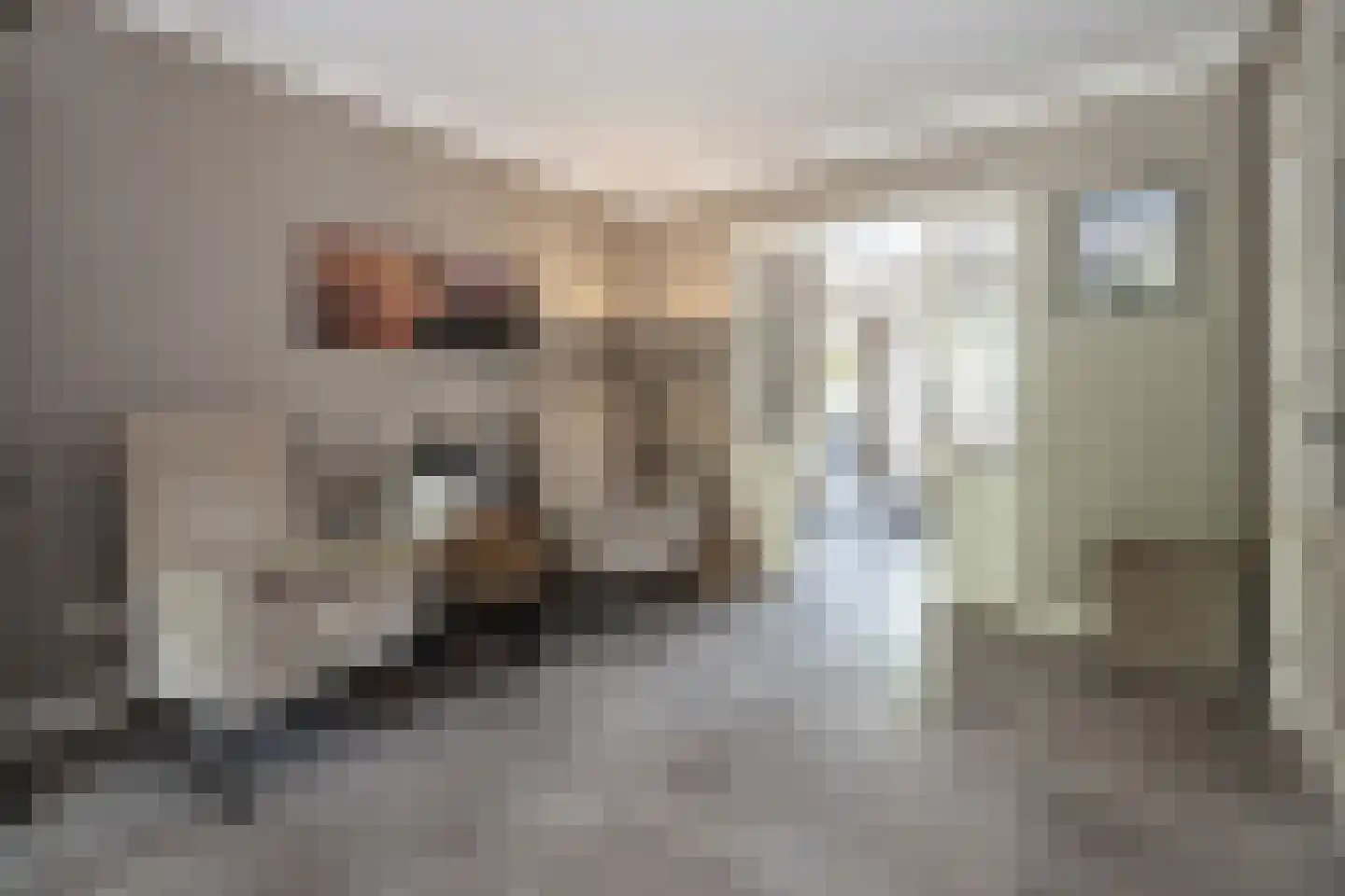Essenerweg 53 Kootwijkerbroek thumbnail 9