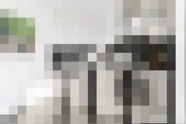 Essengaarde 14 Waddinxveen thumbnail 15