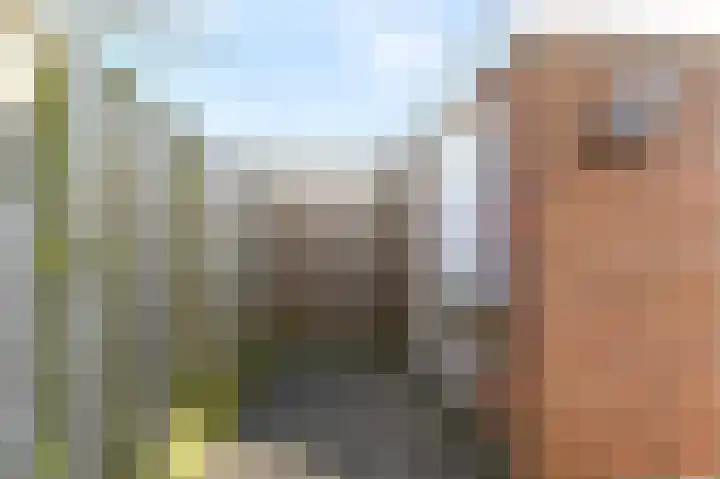 Essengaarde 14 Waddinxveen thumbnail 33