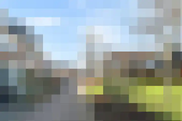 Essengaarde 14 Waddinxveen thumbnail 38