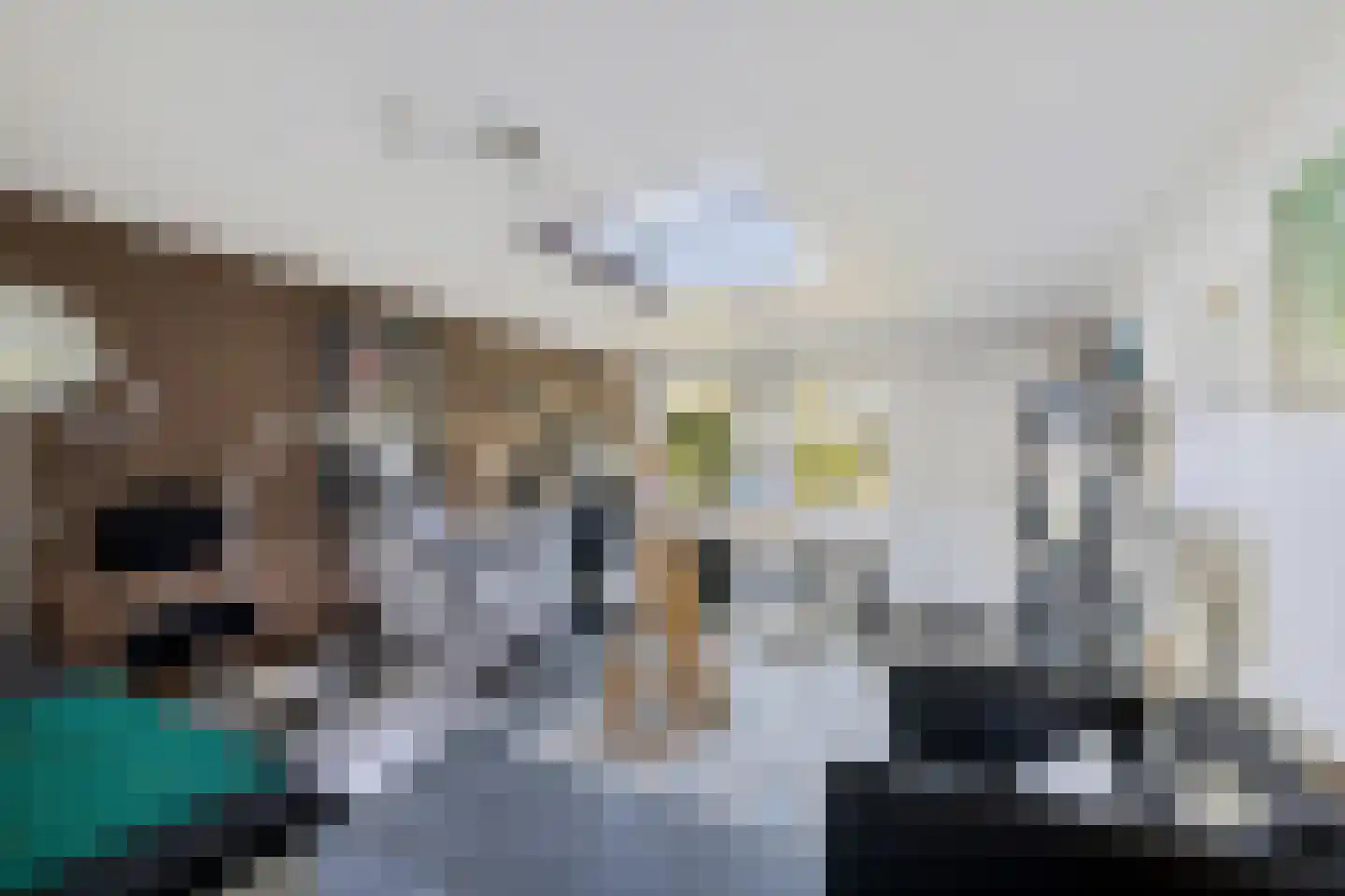 Essenhaag 4 Heerenveen thumbnail 18