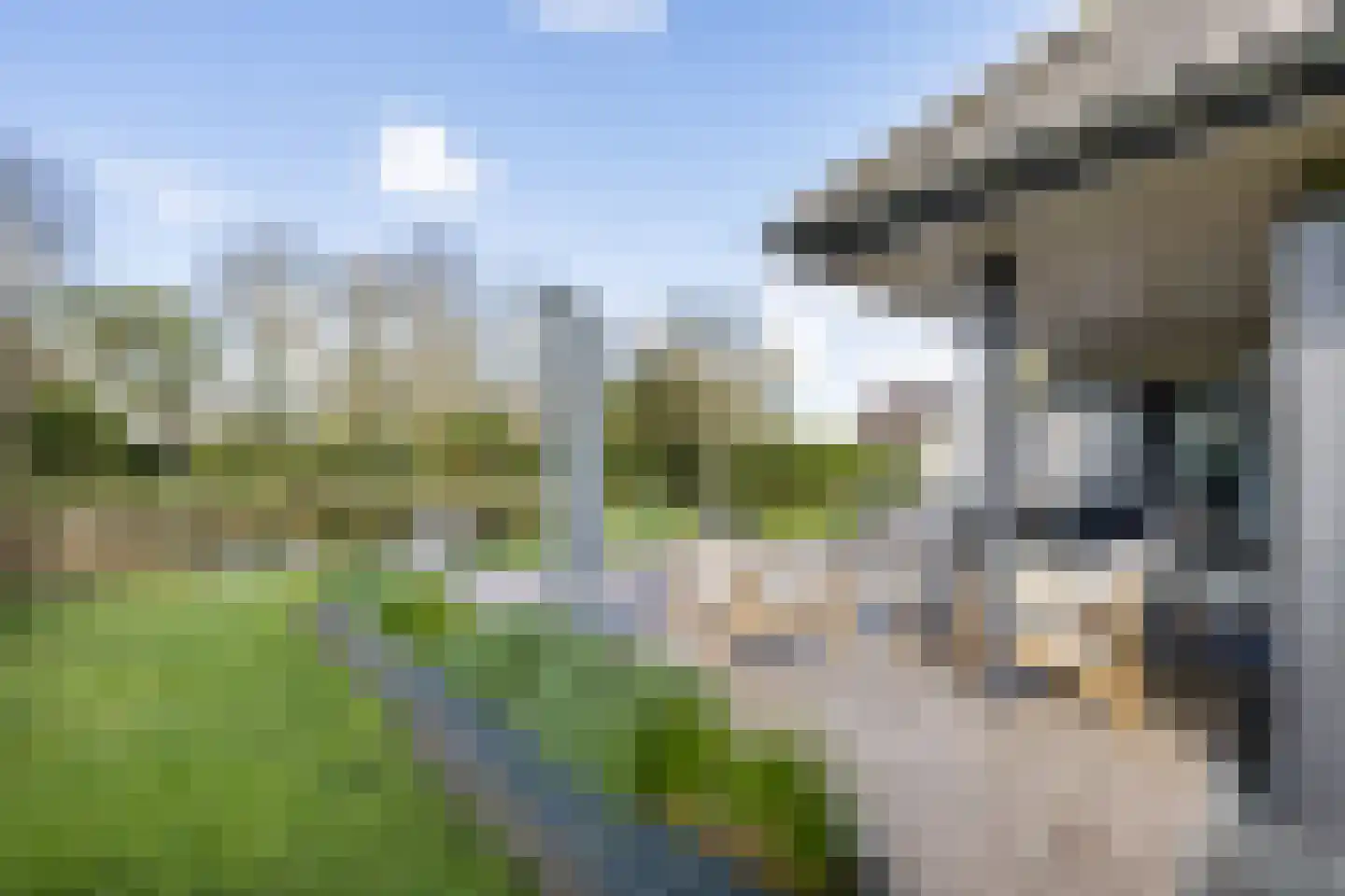 Essenhaag 4 Heerenveen thumbnail 53