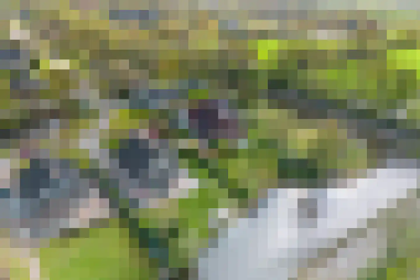 Essenhaag 4 Heerenveen thumbnail 61