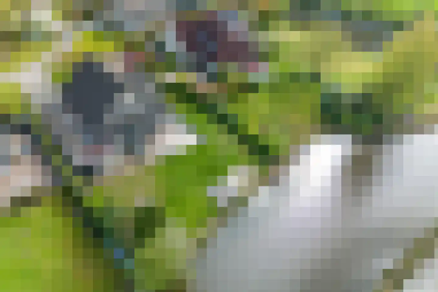 Essenhaag 4 Heerenveen thumbnail 62