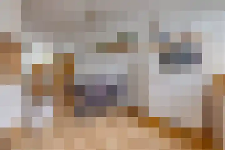 Essenhage 26 Stadskanaal thumbnail 15