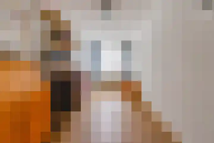 Essenhage 26 Stadskanaal thumbnail 32