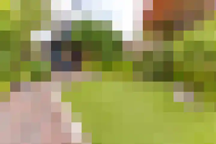 Essenhage 26 Stadskanaal thumbnail 37