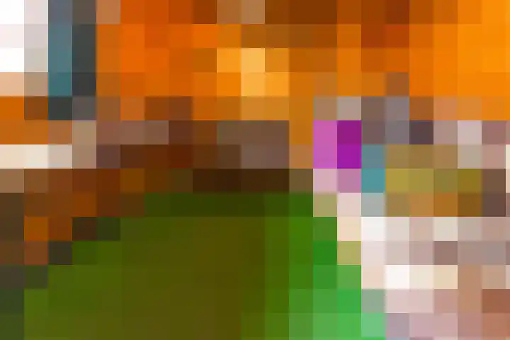 Essenhage 26 Stadskanaal thumbnail 39