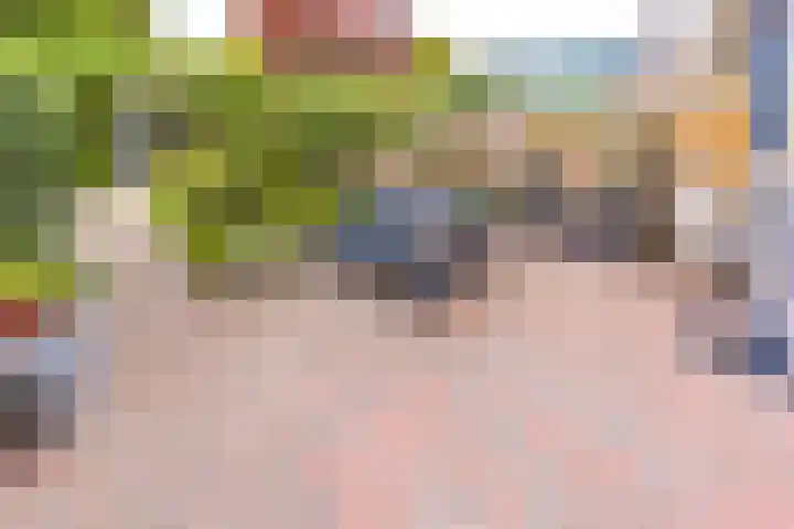 Essenhage 26 Stadskanaal thumbnail 40