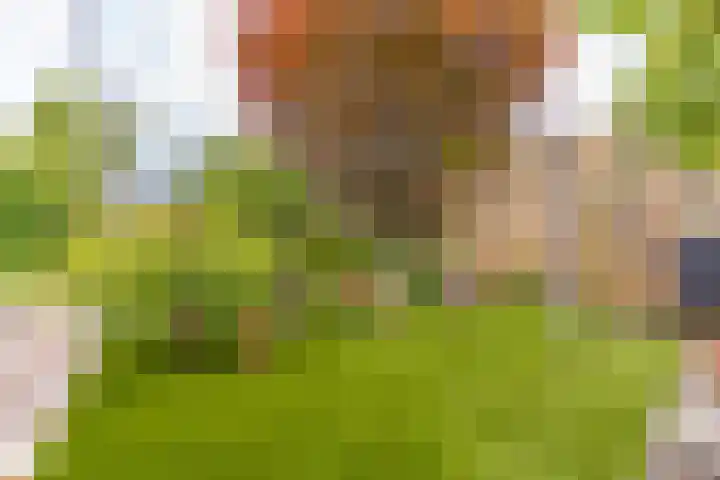Essenhage 26 Stadskanaal thumbnail 41
