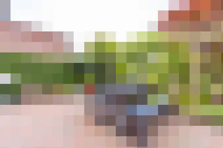 Essenhage 26 Stadskanaal thumbnail 42