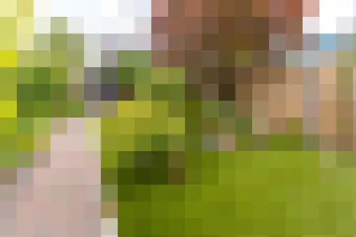 Essenhage 26 Stadskanaal thumbnail 5