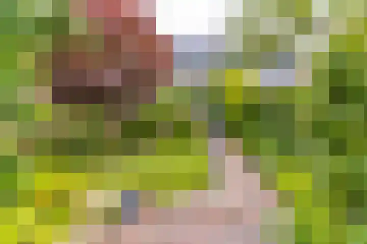Essenhage 26 Stadskanaal thumbnail 6