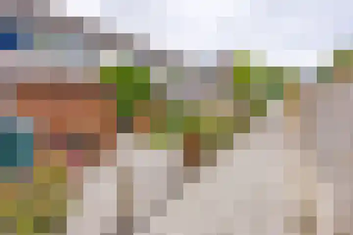 Essenhage 26 Stadskanaal thumbnail 8