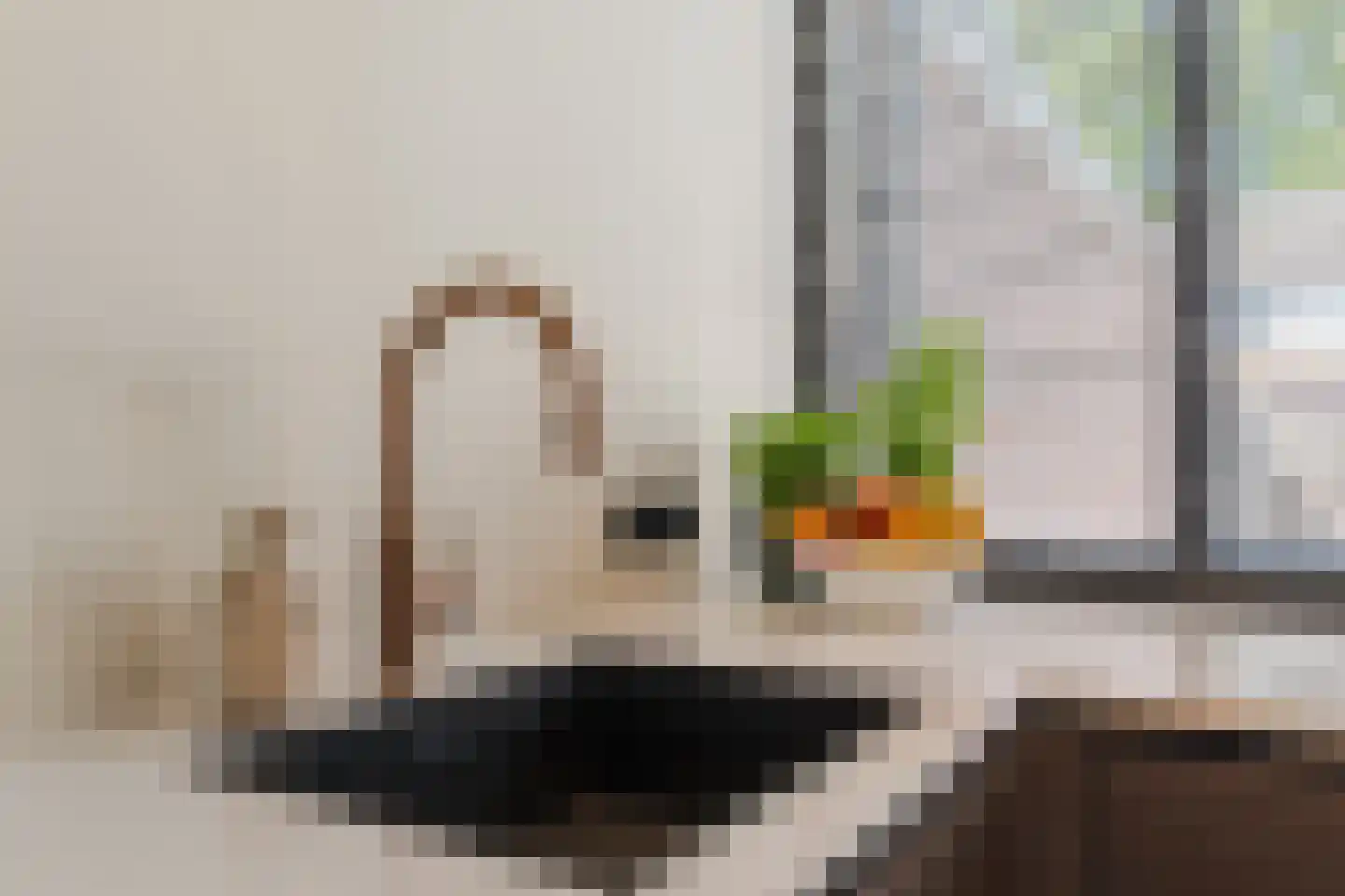 Essenhage 28 Stadskanaal thumbnail 17