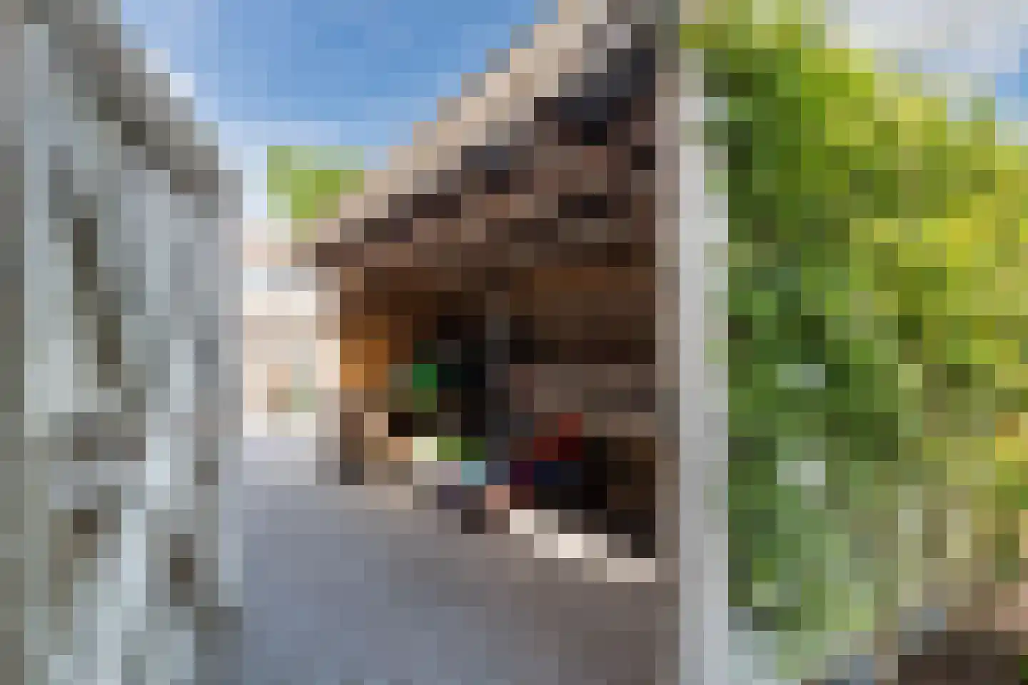 Essenhage 28 Stadskanaal thumbnail 47