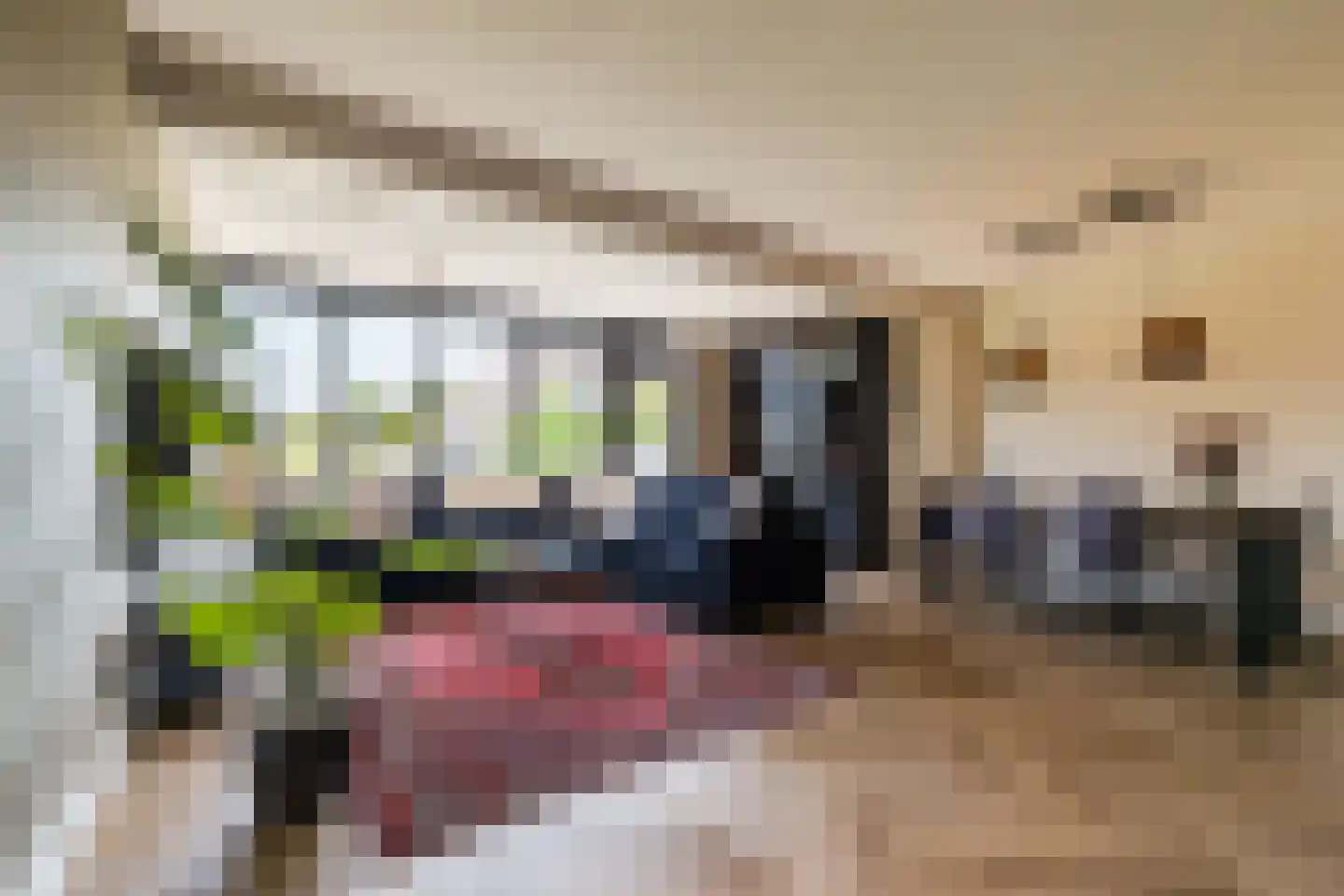 Essenhage 28 Stadskanaal thumbnail 8