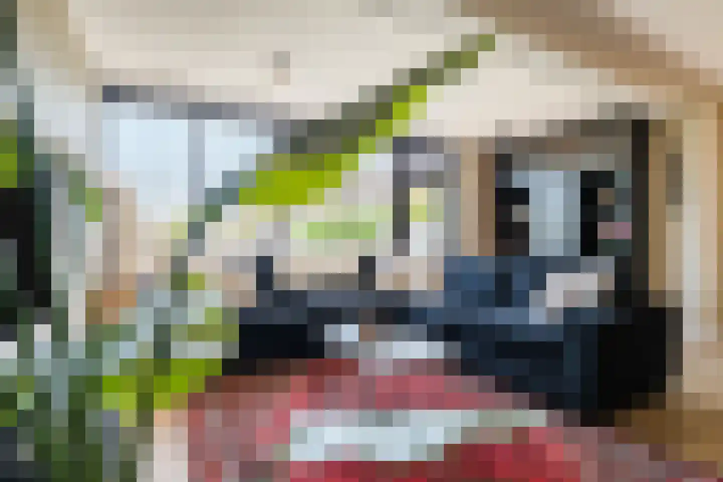 Essenhage 28 Stadskanaal thumbnail 9