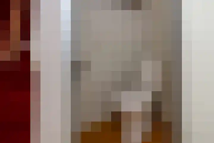 Essenhage 7 Stadskanaal thumbnail 11