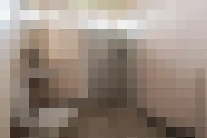 Essenhage 7 Stadskanaal thumbnail 16