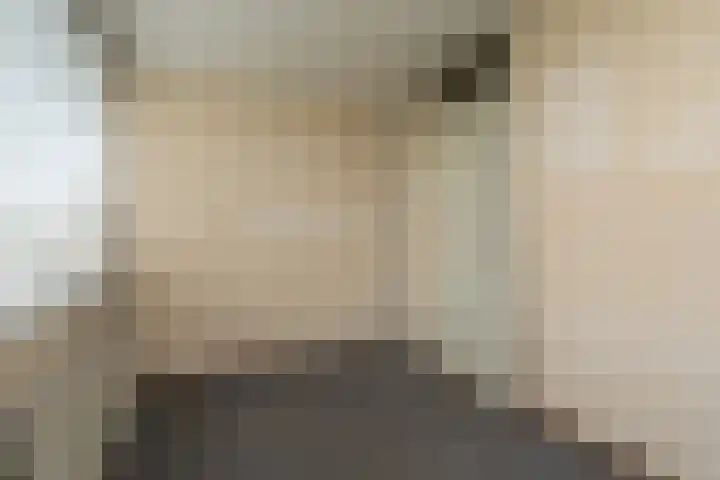 Essenhage 7 Stadskanaal thumbnail 18