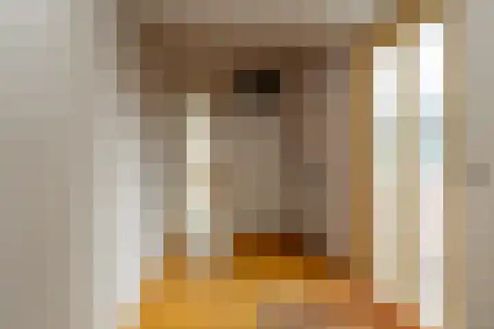 Essenhage 7 Stadskanaal foto 2