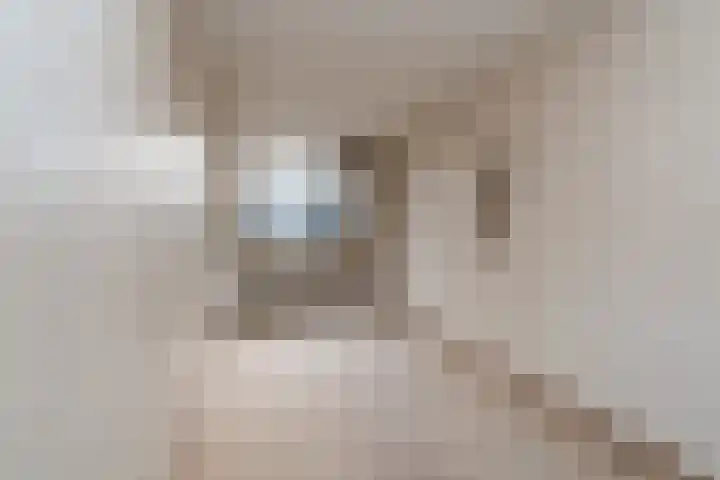Essenhage 7 Stadskanaal thumbnail 20