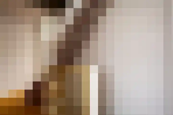 Essenhage 7 Stadskanaal thumbnail 22