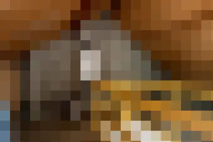 Essenhage 7 Stadskanaal thumbnail 25