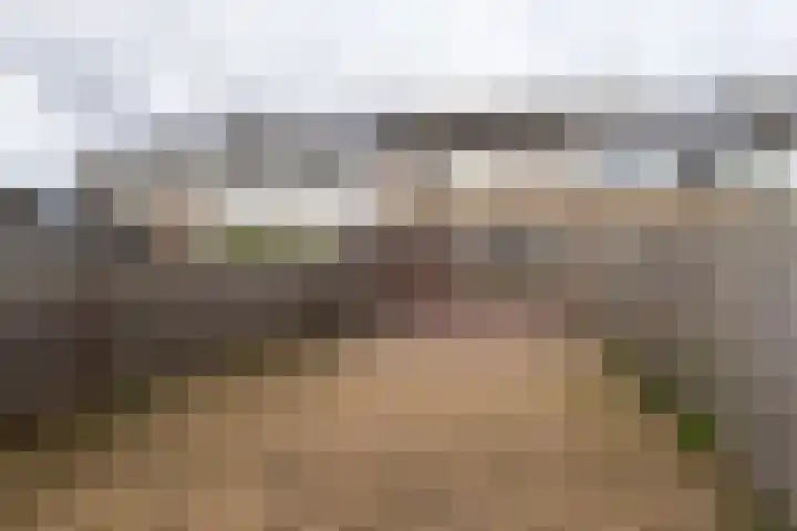 Essenhage 7 Stadskanaal thumbnail 32