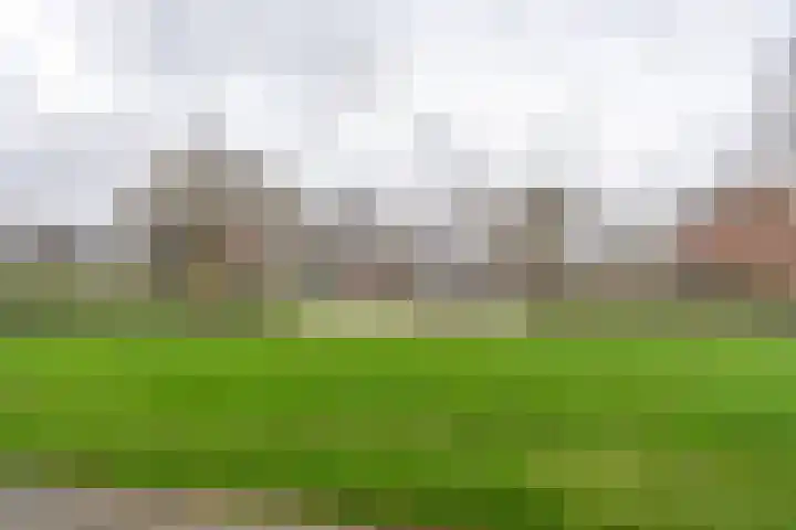Essenhage 7 Stadskanaal thumbnail 37