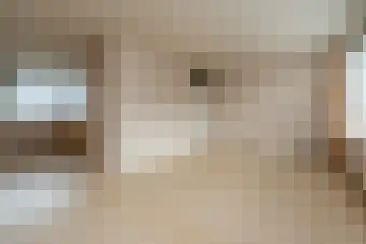 Essenhage 7 Stadskanaal thumbnail 5