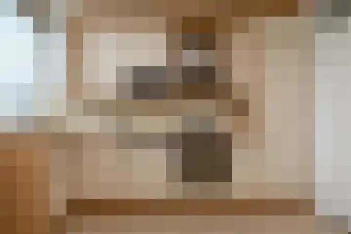 Essenhage 7 Stadskanaal thumbnail 8