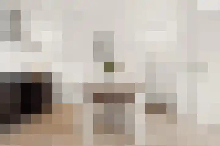 Essenhof 15 Dieren thumbnail 11