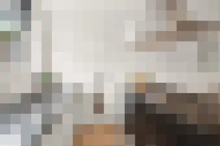 Essenhof 15 Dieren thumbnail 14