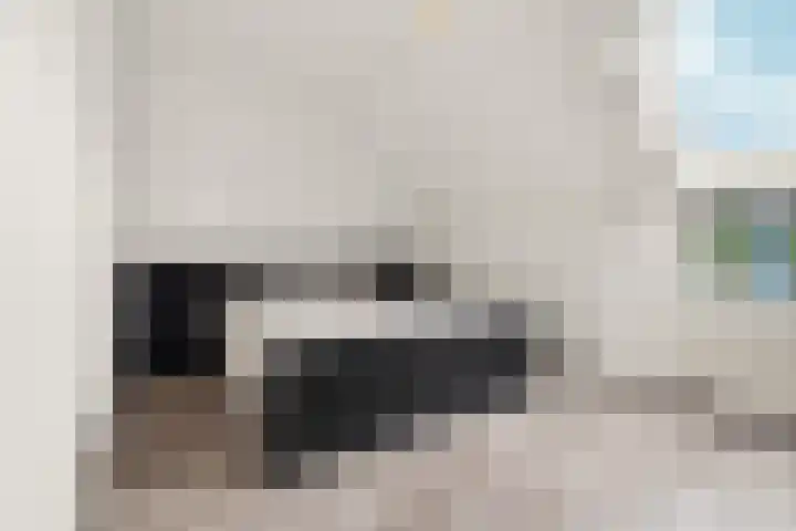 Essenhof 15 Dieren thumbnail 16