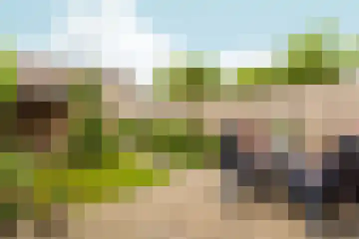 Essenhof 15 Dieren thumbnail 30