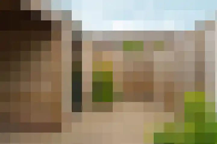 Essenhof 15 Dieren thumbnail 31
