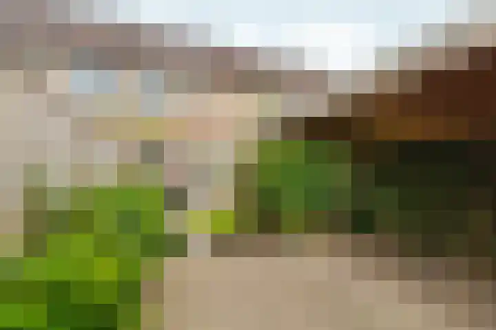 Essenhof 15 Dieren thumbnail 33