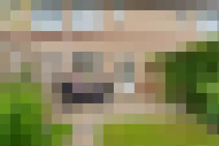 Essenhof 15 Dieren thumbnail 34