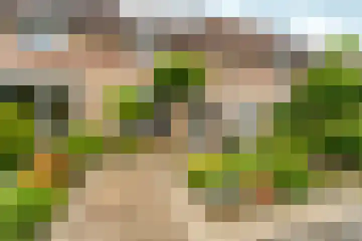 Essenhof 15 Dieren thumbnail 36
