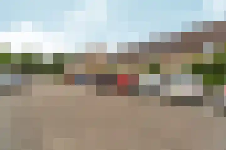 Essenhof 15 Dieren thumbnail 38