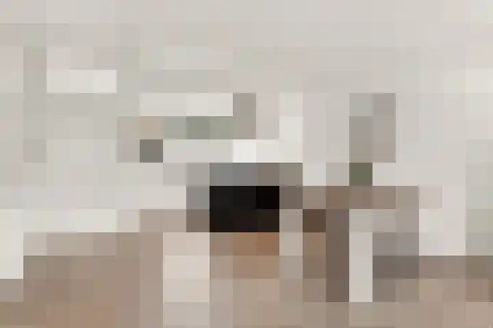 Essenhof 15 Dieren thumbnail 4
