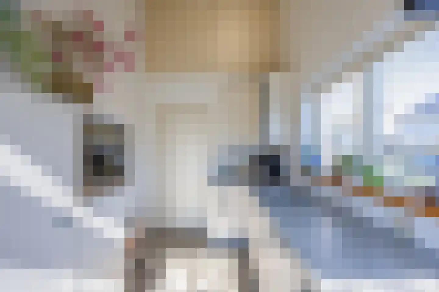 Essenhof 20 Molenhoek thumbnail 13