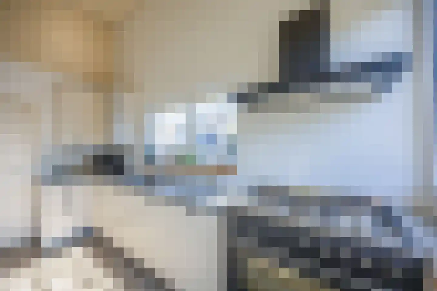 Essenhof 20 Molenhoek thumbnail 14