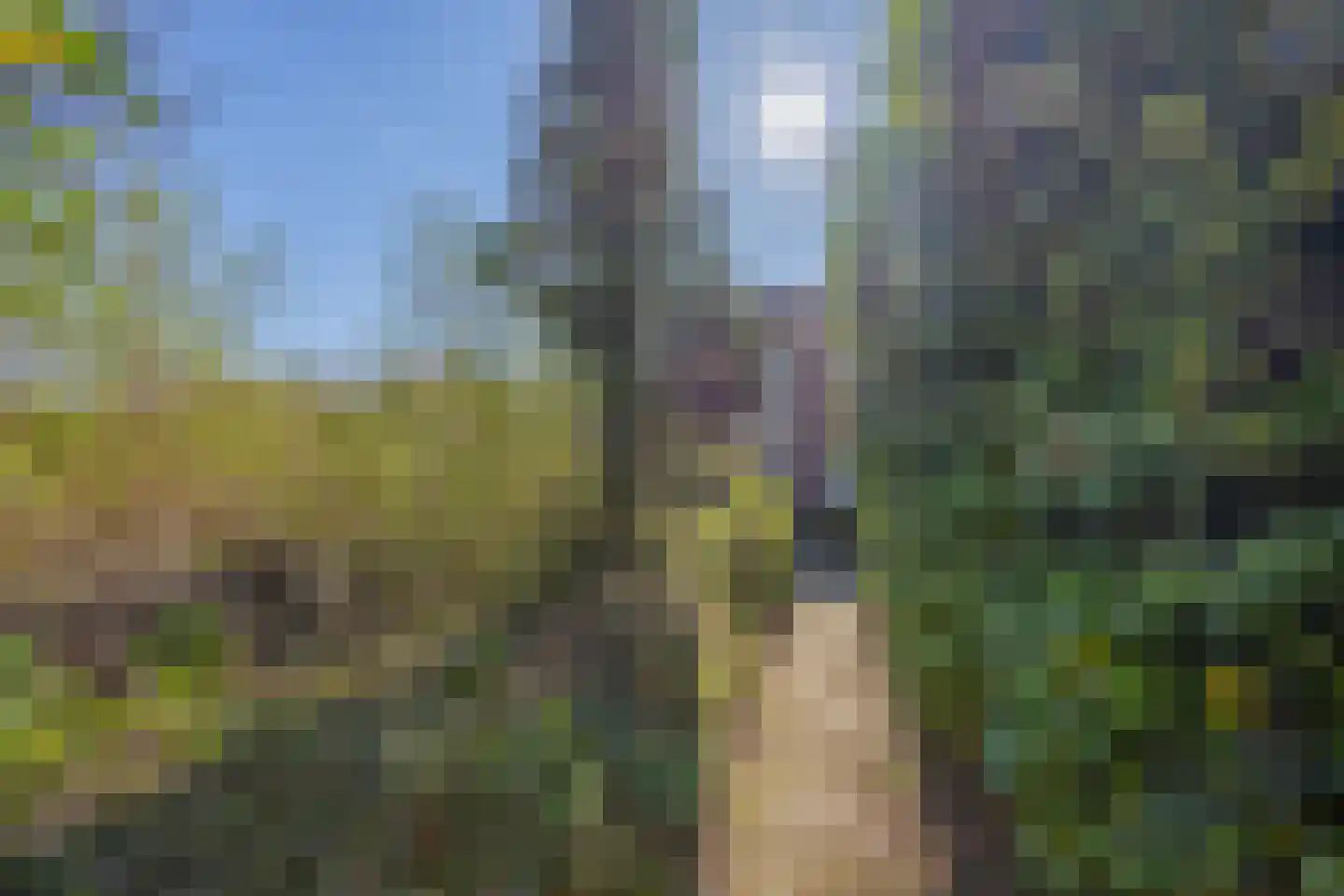 Essenhof 20 Molenhoek thumbnail 43