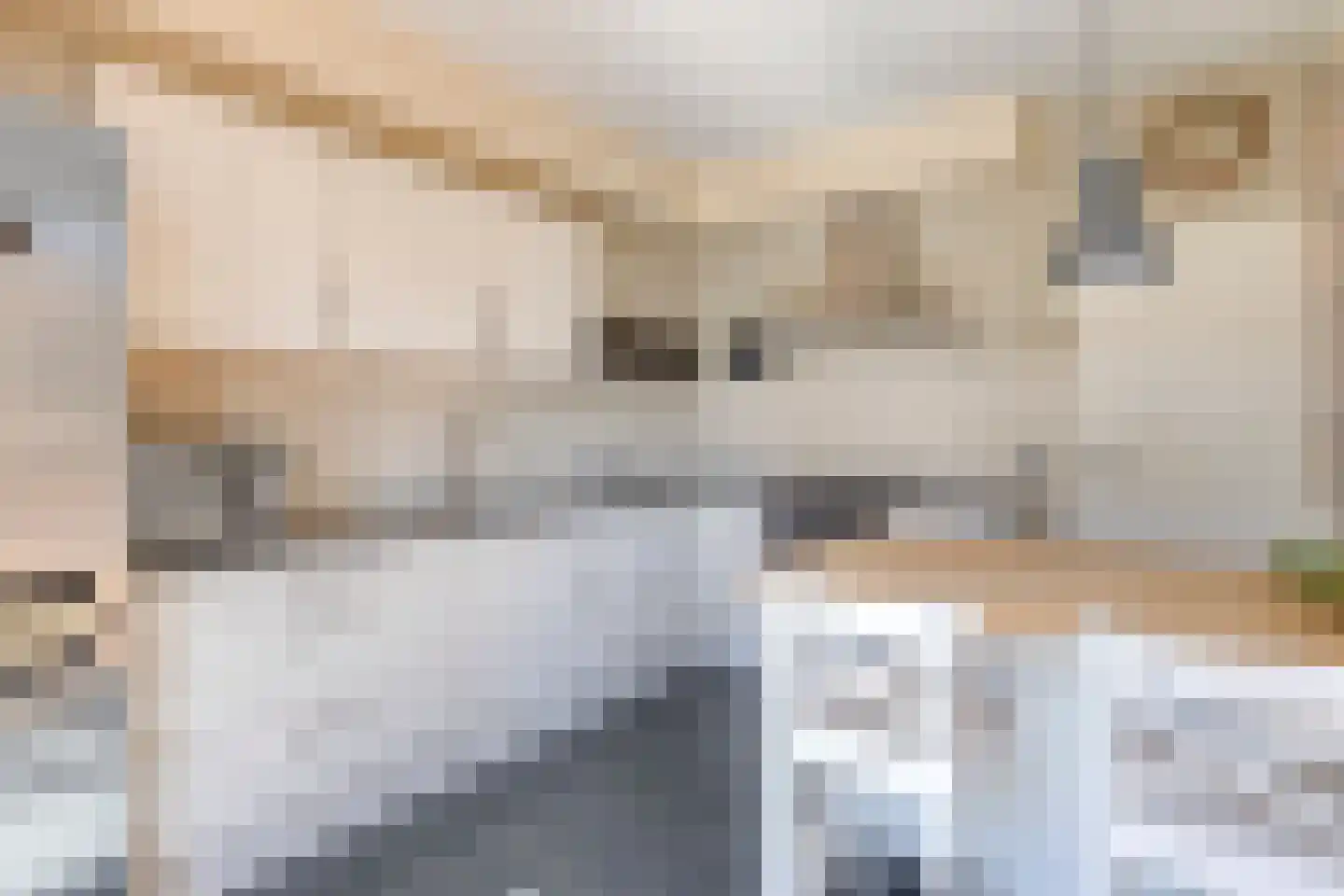Essenhof 4 Molenhoek thumbnail 10