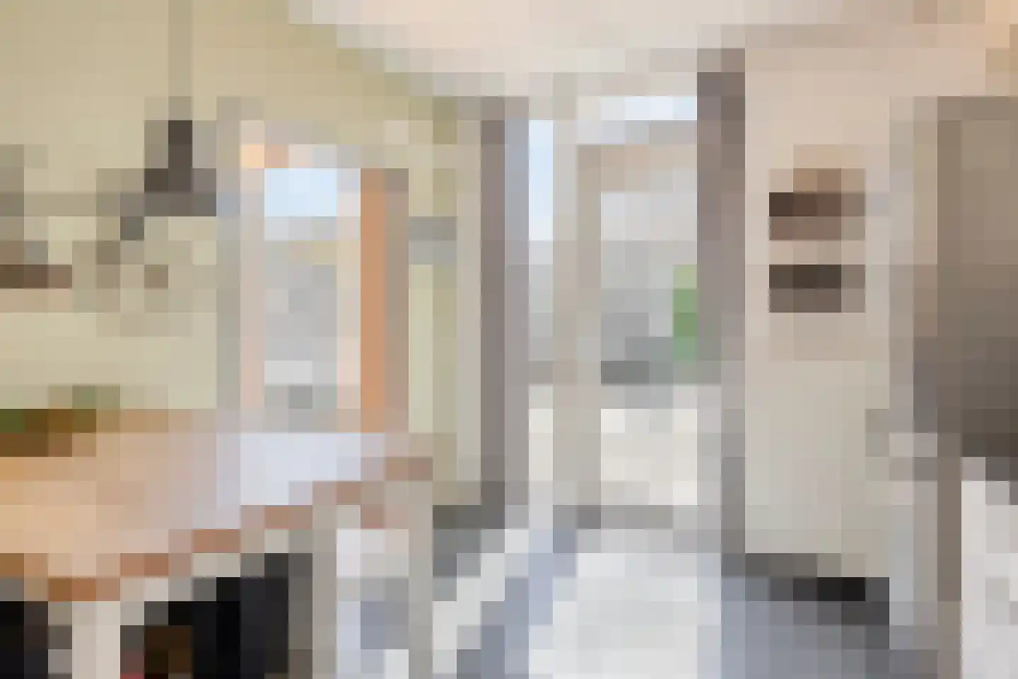 Essenhof 4 Molenhoek thumbnail 12