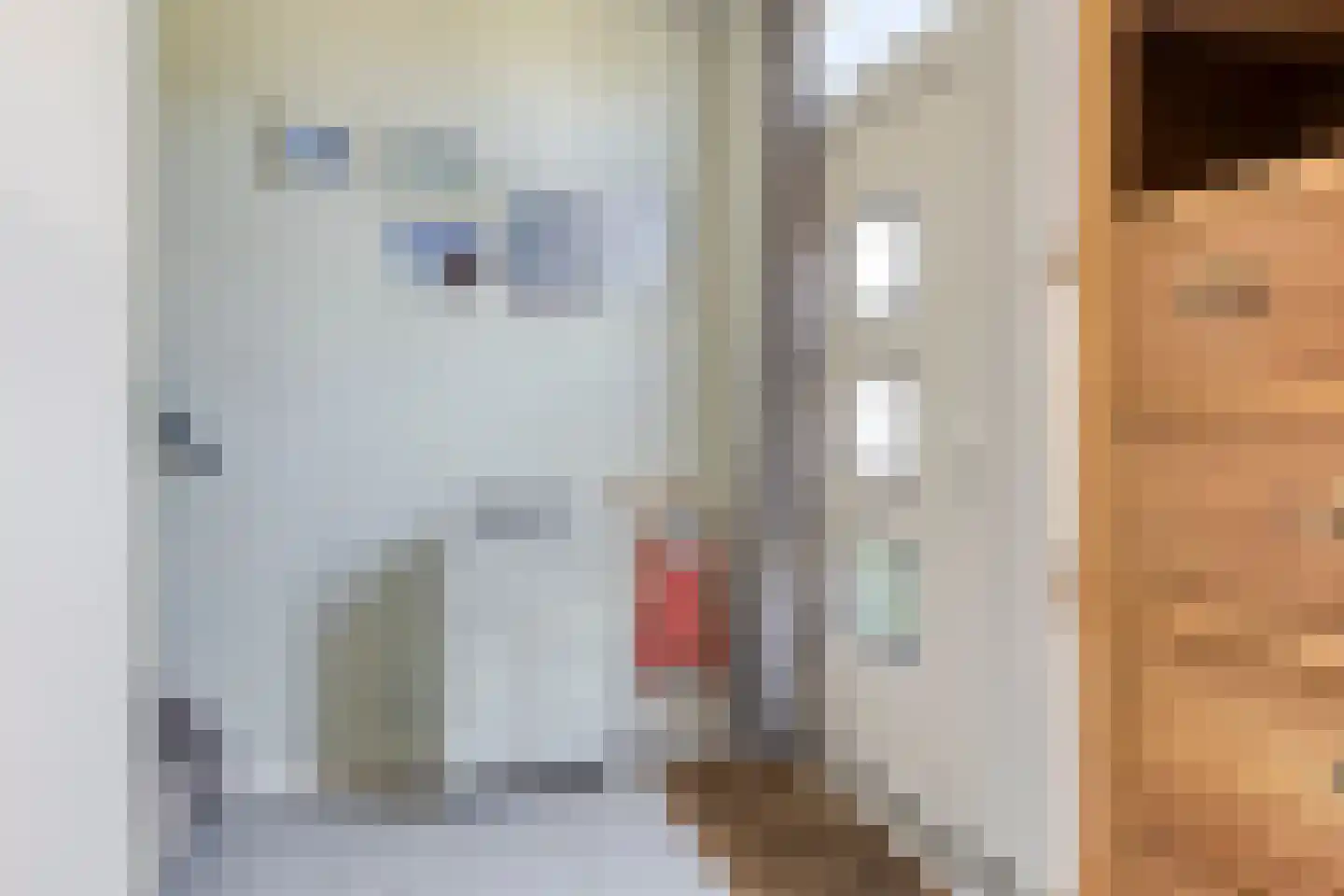 Essenhof 4 Molenhoek thumbnail 14